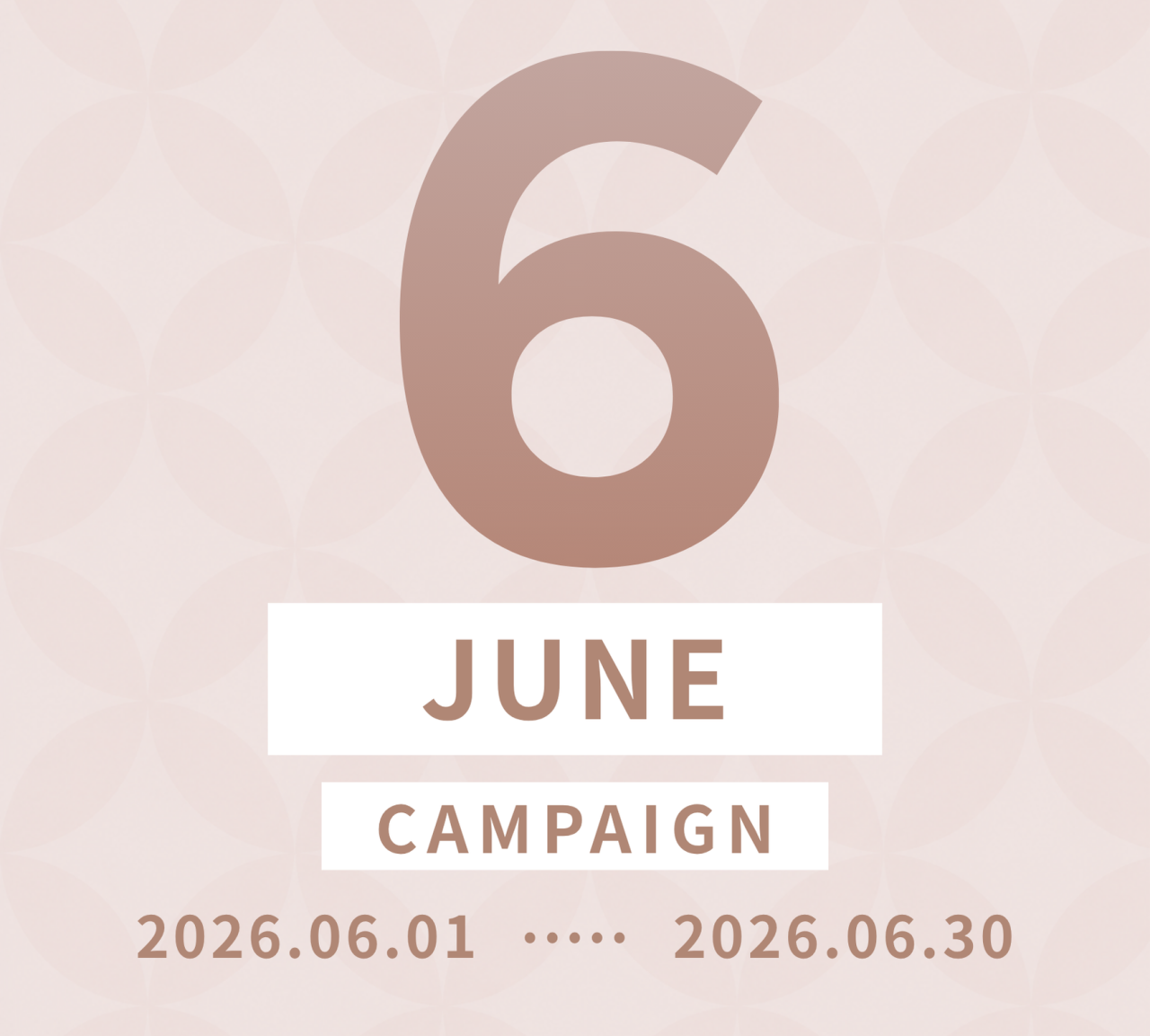 6月キャンペーン✨