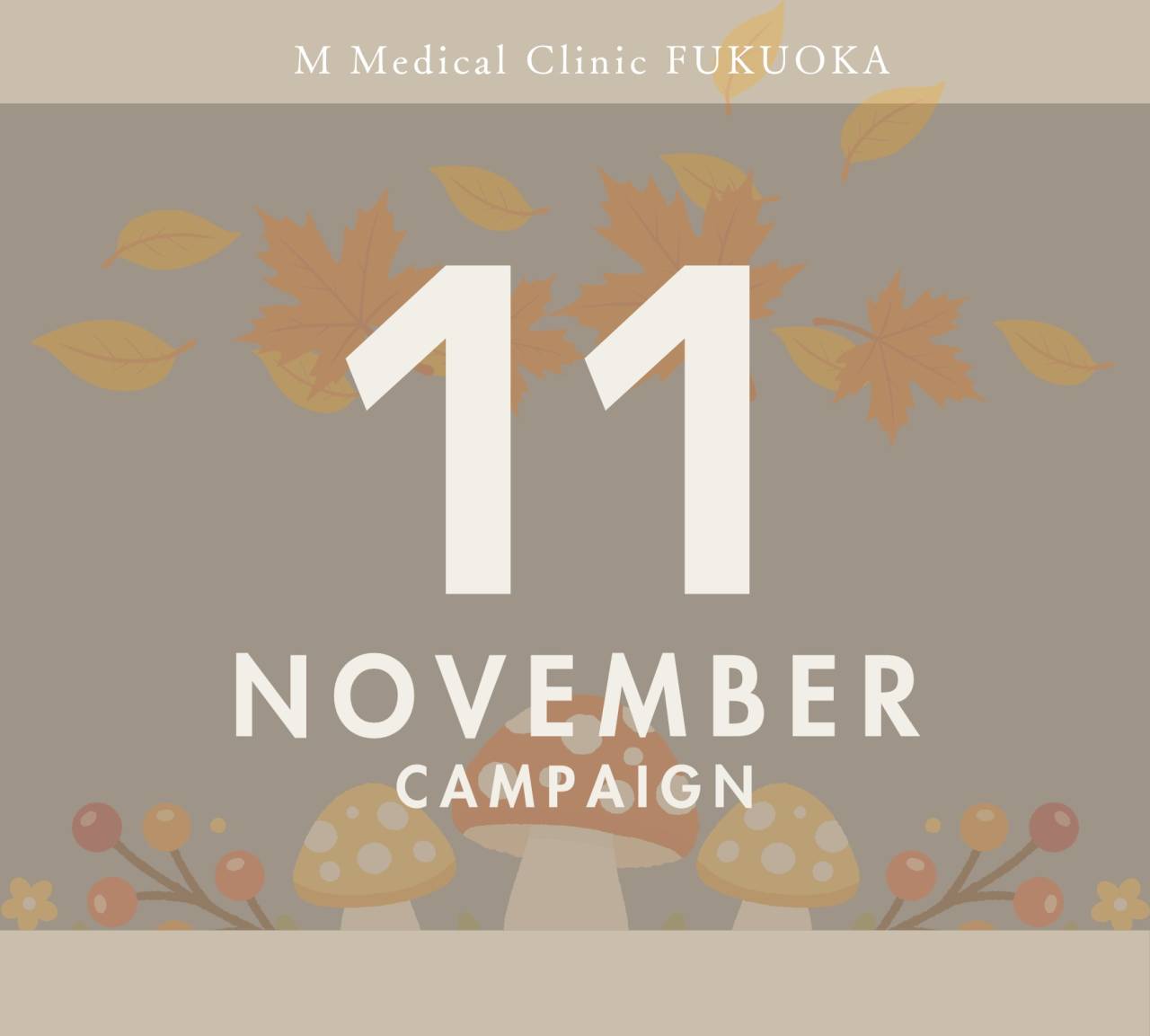 11月キャンペーン